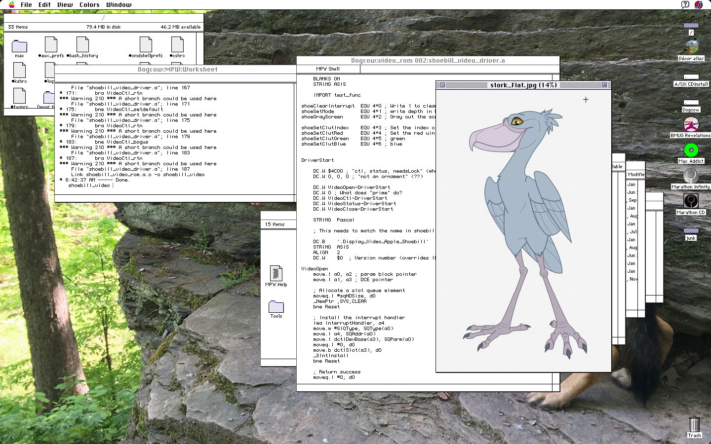 Screenshot de Shoebill